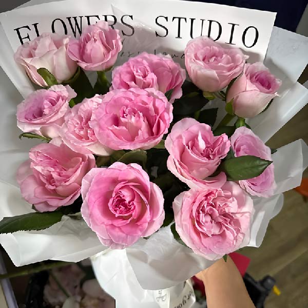 13朵洛神粉玫瑰,心中永远动人(实拍照)