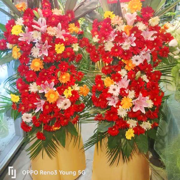 各色扶郎花,双层开业花篮,金银满地(实拍照)