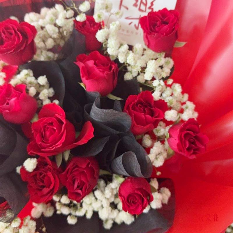 12朵红玫瑰,一生的美好和幸福(实拍照)
