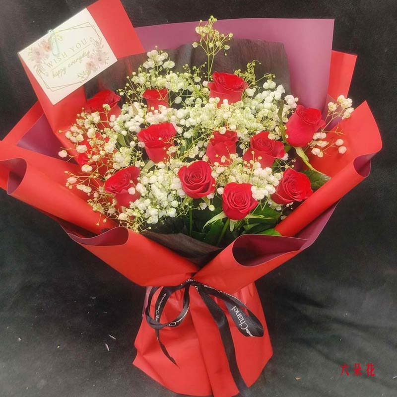 12朵红玫瑰,一生的美好和幸福(实拍照)