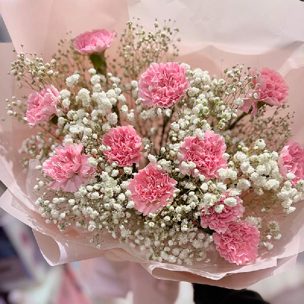 11朵粉色康乃馨,生活幸福多彩(实拍照)