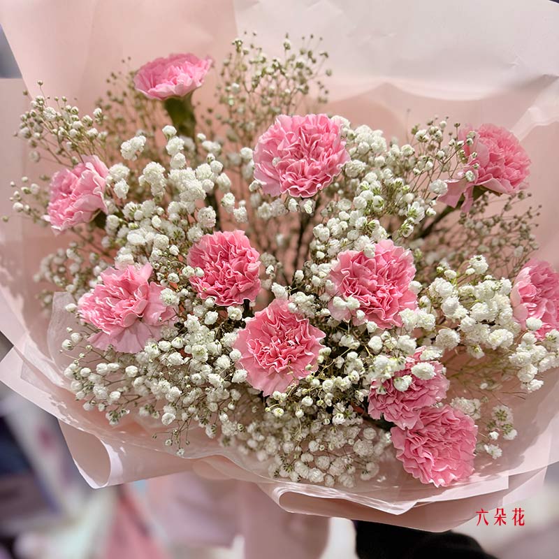 11朵粉色康乃馨,生活幸福多彩(实拍照)