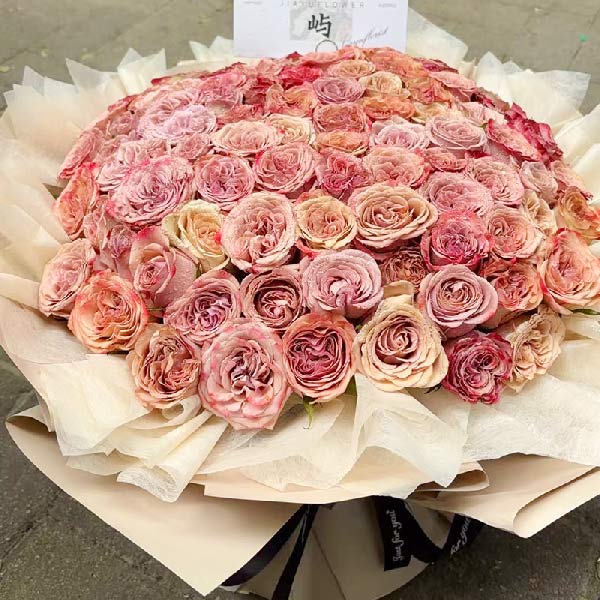 99朵卡布奇诺玫瑰,一起走人生路(实拍照)