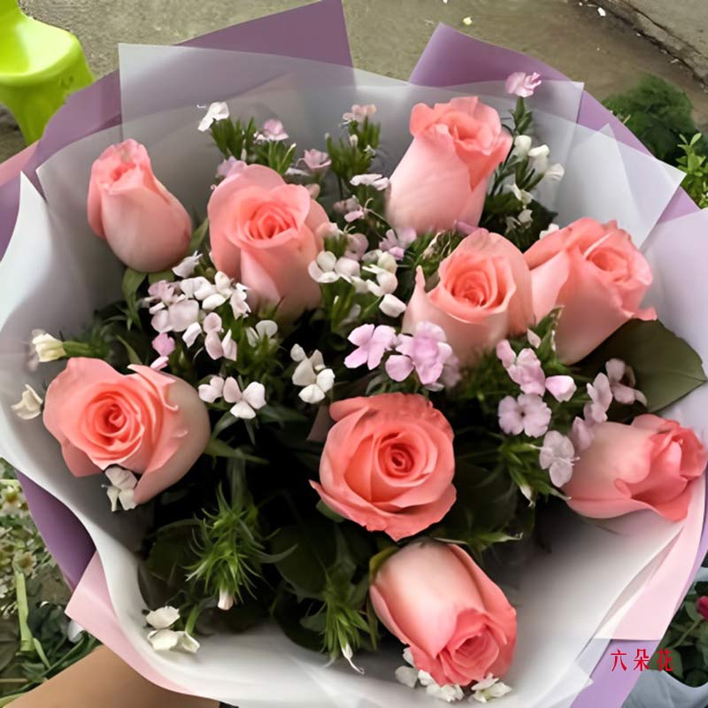 9朵戴安娜粉玫瑰,爱是一路相伴(实拍照)