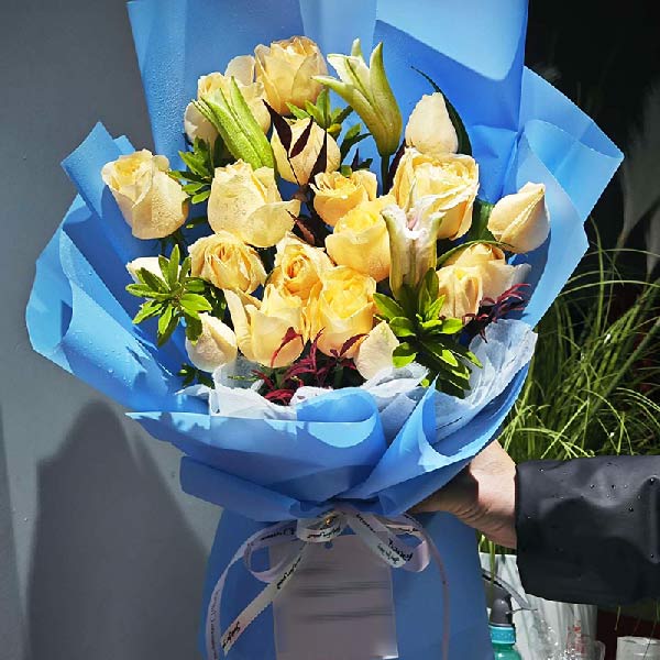 33朵戴安娜粉玫瑰,温柔围绕着你(实拍照)