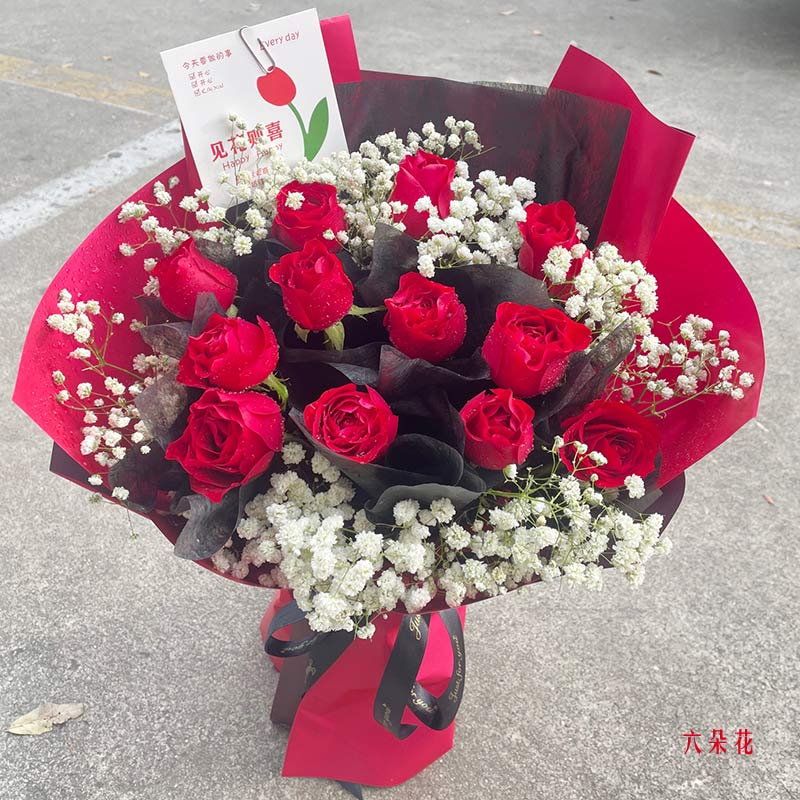 12朵红玫瑰,一生的美好和幸福(实拍照)