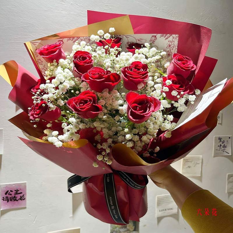 12朵红玫瑰,一生的美好和幸福(实拍照)