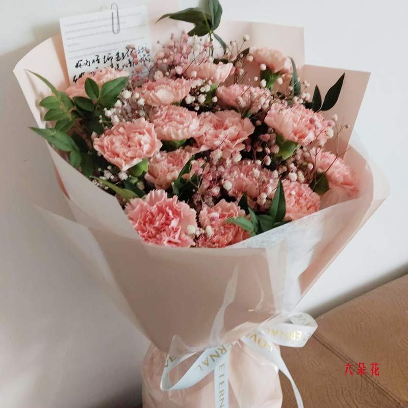 16朵粉色康乃馨满天星,生活美轮美奂(实拍照)