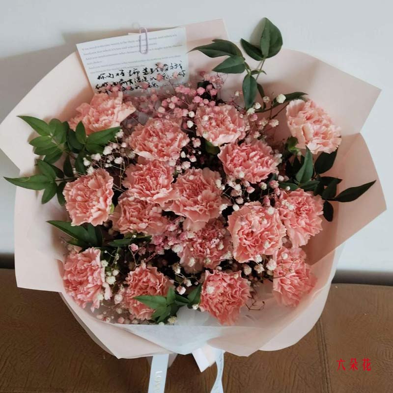 16朵粉色康乃馨满天星,生活美轮美奂(实拍照)