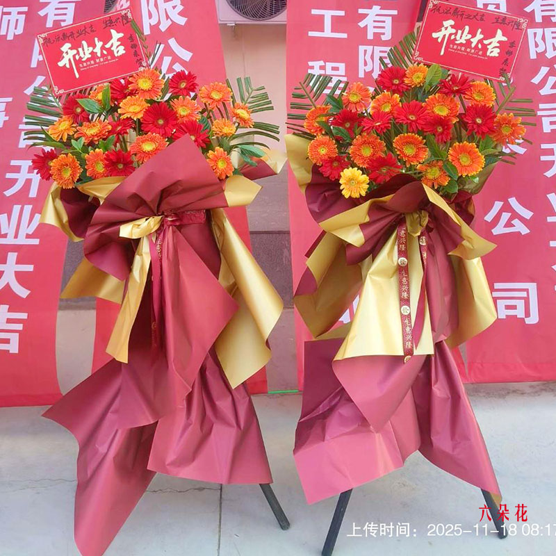 20朵各色扶郎花花篮,开业贺喜(实拍照)