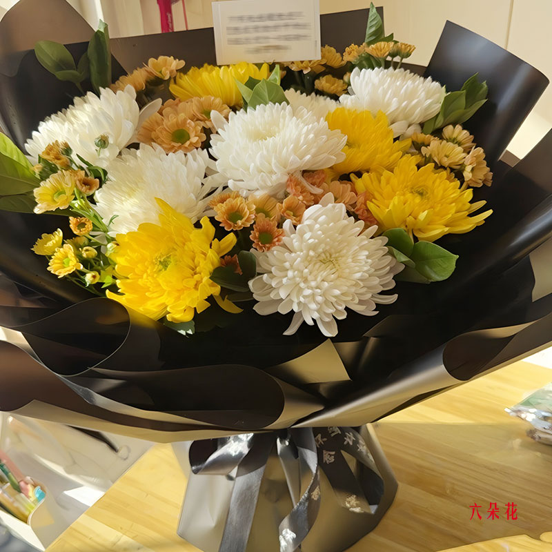 10朵菊花混搭,冥冥之中庇佑(实拍照)