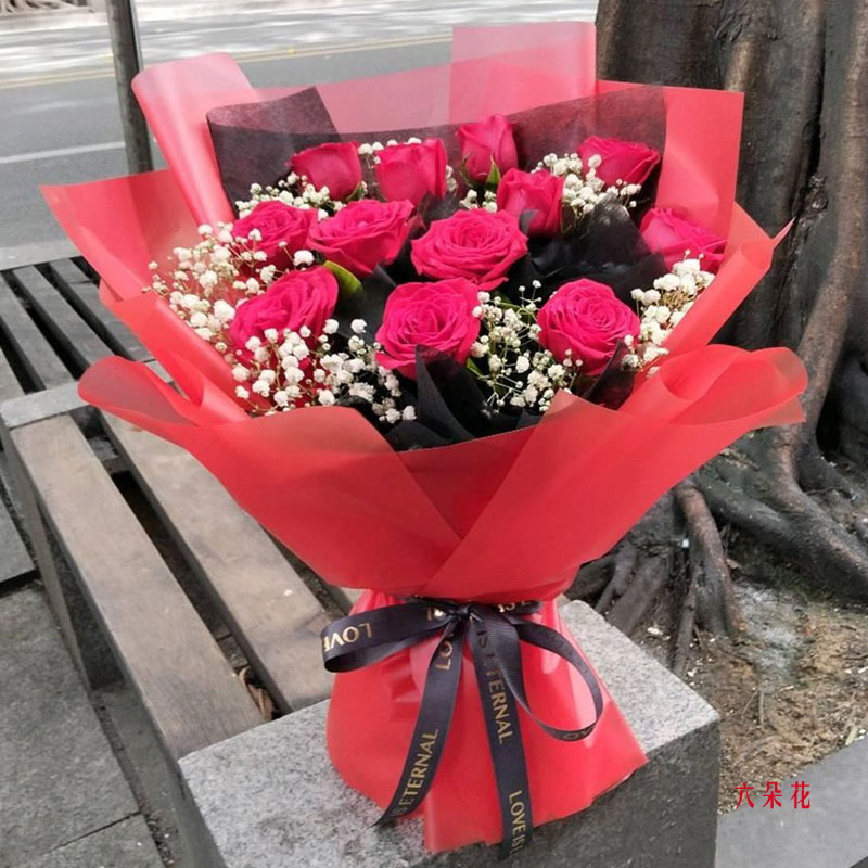 12朵红玫瑰,一生的美好和幸福(实拍照)