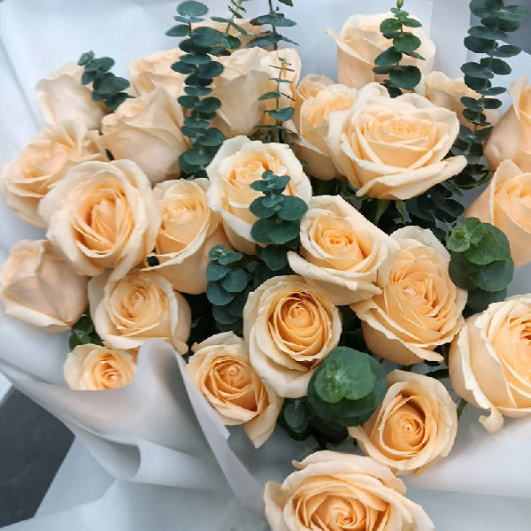 28朵香槟玫瑰,都是爱的见证(实拍照)