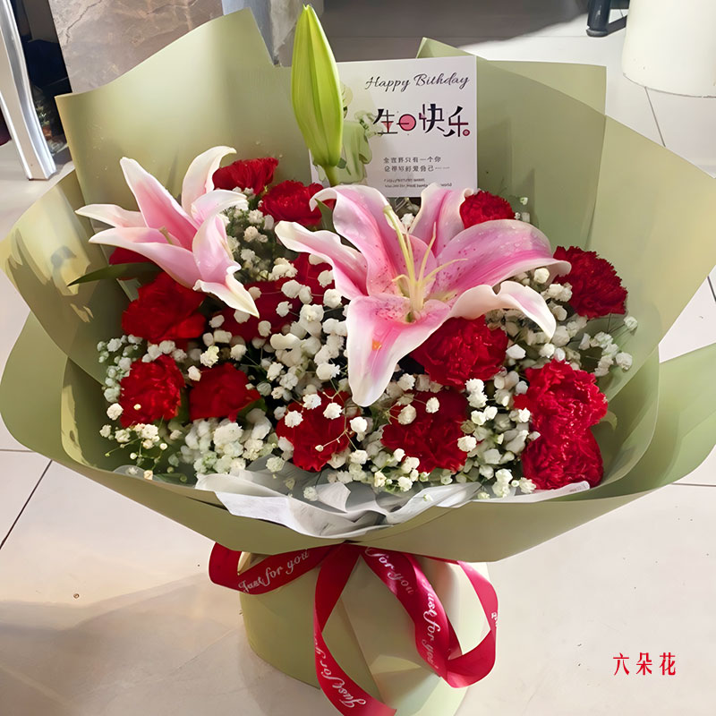 16朵红色康乃馨1支百合,对您感恩表达(实拍照)