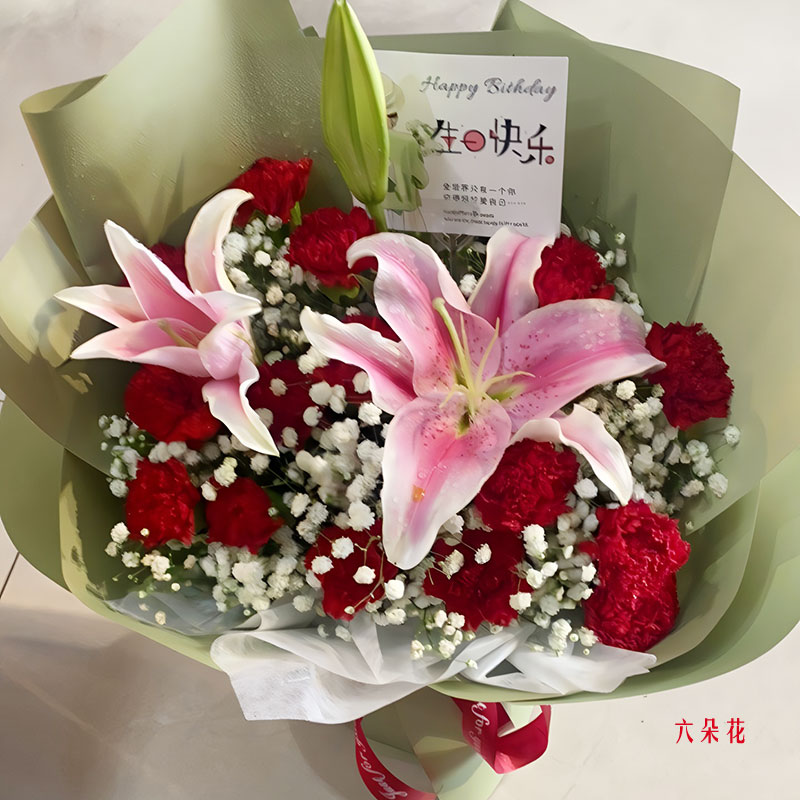 16朵红色康乃馨1支百合,对您感恩表达(实拍照)