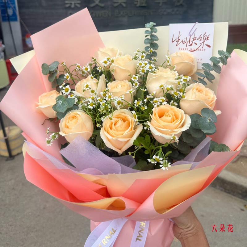 11朵香槟玫瑰洋甘菊,心与心的靠近(实拍照)