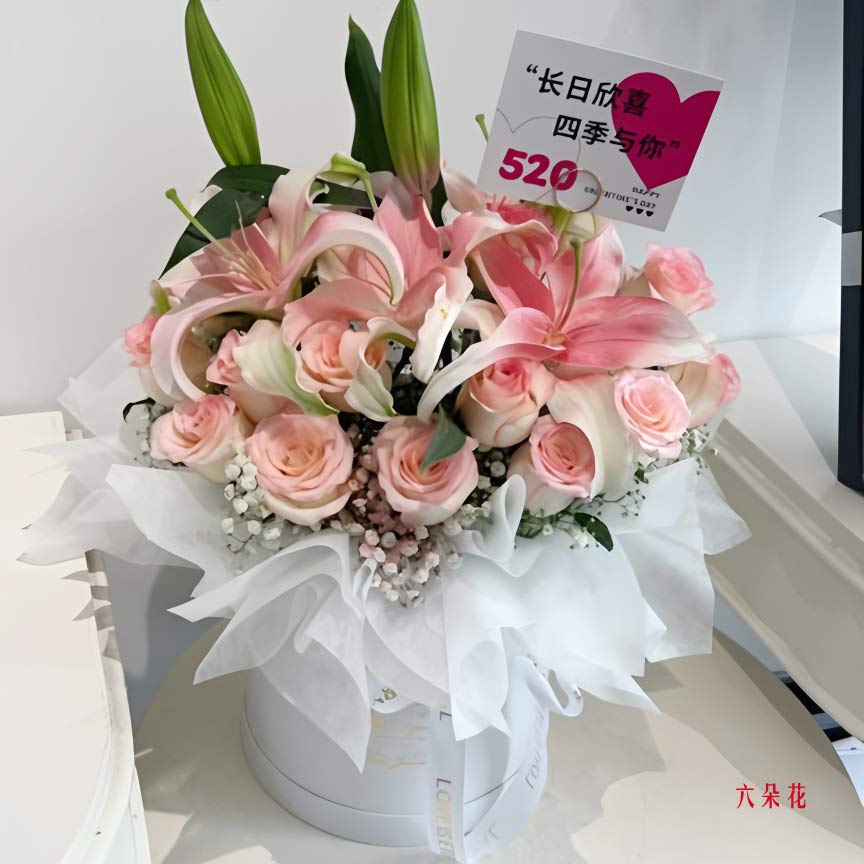 22朵艾莎粉玫瑰桶装,对你充满爱意(实拍照)