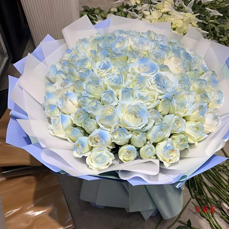 99朵碎冰蓝白玫瑰,爱携手走过(实拍照)