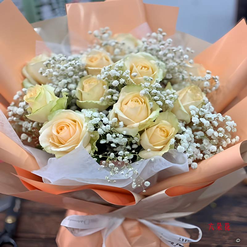 11朵香槟玫瑰满天星,我们始终相拥(实拍照)