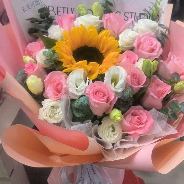 12朵粉玫瑰1朵向日葵,飓风中的宁静(实拍照)