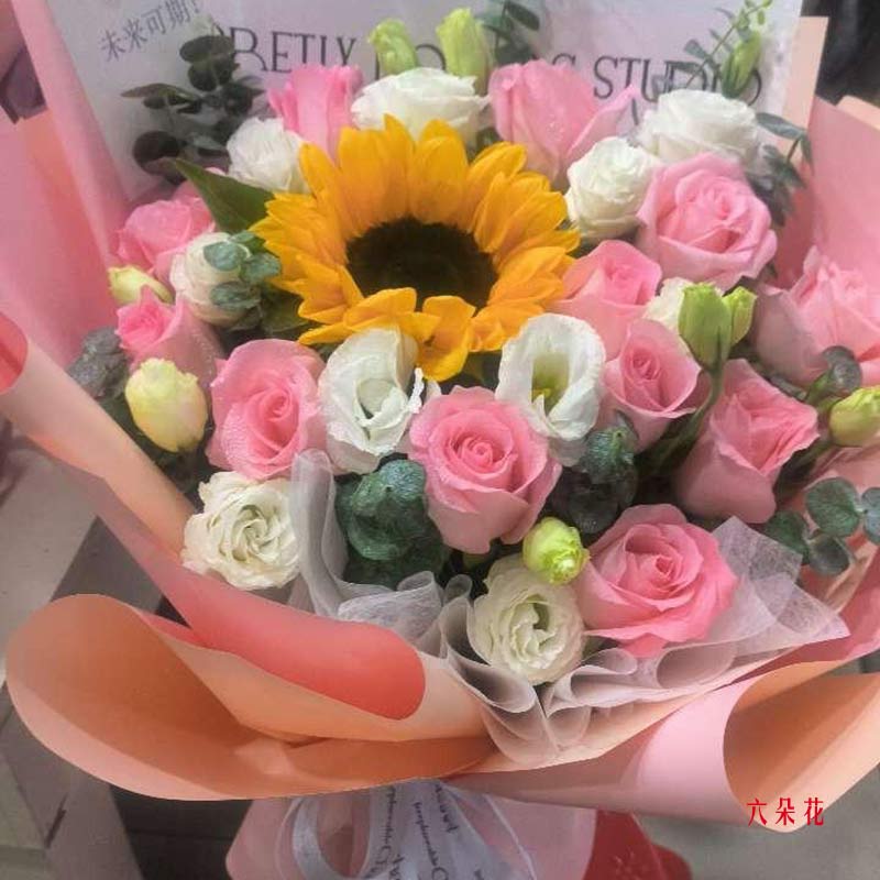 12朵粉玫瑰1朵向日葵,飓风中的宁静(实拍照)