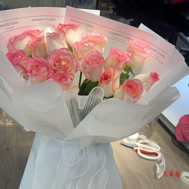 18朵艾莎粉玫瑰,灵动的爱情(实拍照)