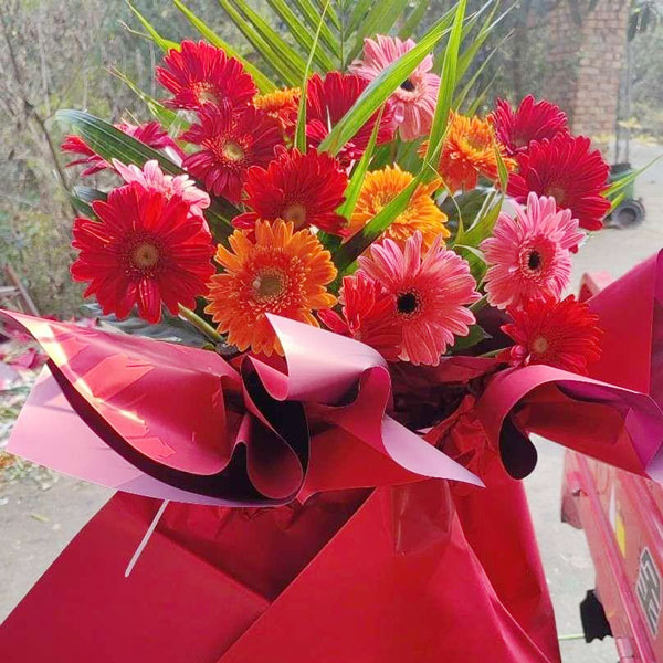 26ɫɻ_ܻ@٘I(y)d(sh)գ