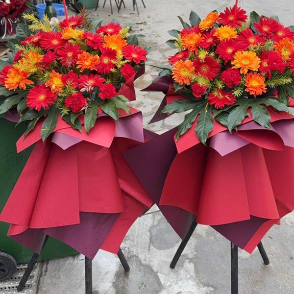 20朵各色扶郎花花篮,开业贺喜(实拍照)