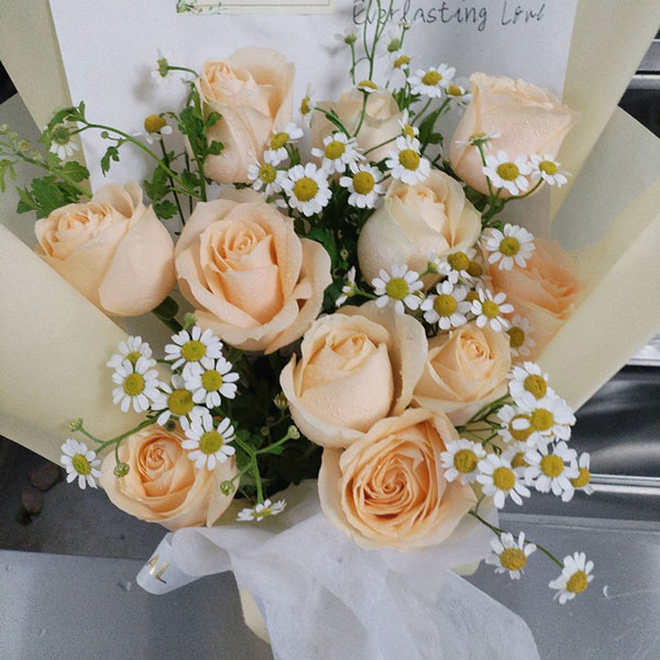 11朵香槟玫瑰,满眼全是你(实拍照)