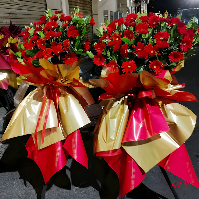 28朵红色扶郎花开业花篮,未来一片光明(实拍照)