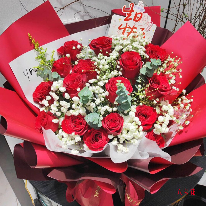 17朵红玫瑰满天星,真情真爱(实拍照)