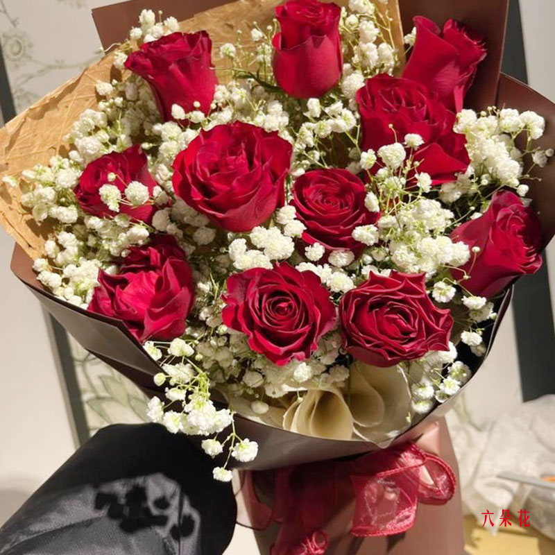 12朵红玫瑰,一生的美好和幸福(实拍照)