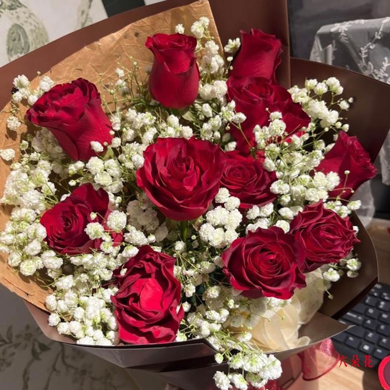 12朵红玫瑰,一生的美好和幸福(实拍照)