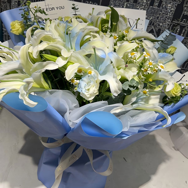 6֧����{���^�ٺ�������Ҹ����£������գ�