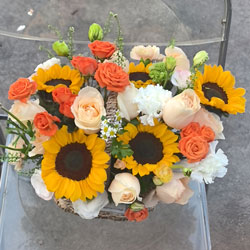 ��������?y��n)^(q��)�����t(y��)Ժ���������ͻ���(sh��)��(11���㙉õ��6�����տ����@�����r��������)