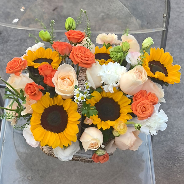 11���㙉õ��6�����տ����@�����r������������գ�