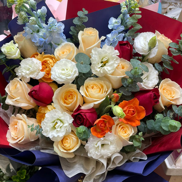 16��õ�������_�m����M�ۺ͜�ů�������գ�