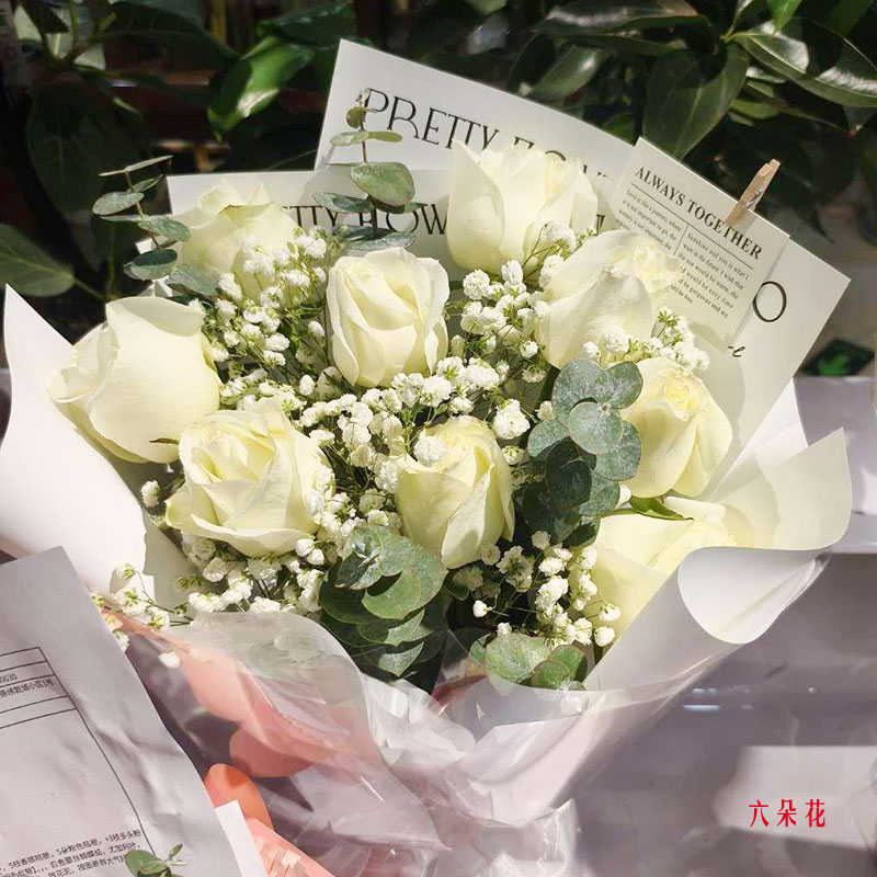 11朵白玫瑰茉莉花,为你书写浪漫(实拍照)