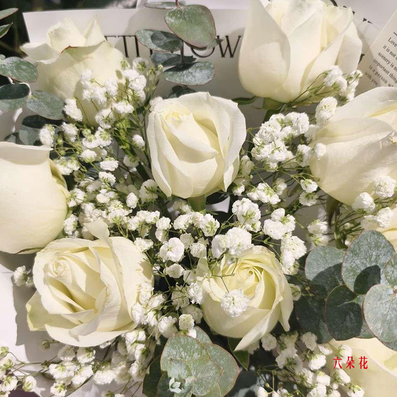 11朵白玫瑰茉莉花,为你书写浪漫(实拍照)