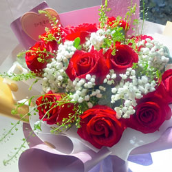 ȫh(yng)mͥͻ(sh)(11tõMһõĐ(i))