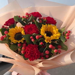 ʯfЌСW(xu)ͻ(5tɫܰ2տꖹů)