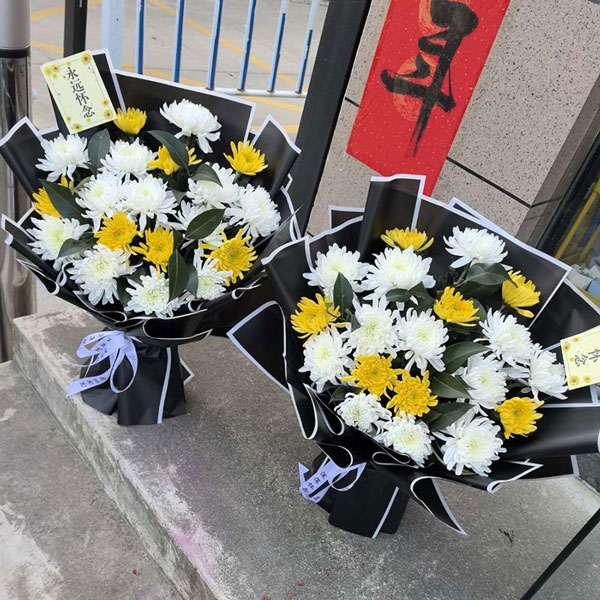 19朵菊花混搭,记忆中永存(实拍照)