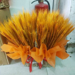 300֧滨@ףԽԽɹ