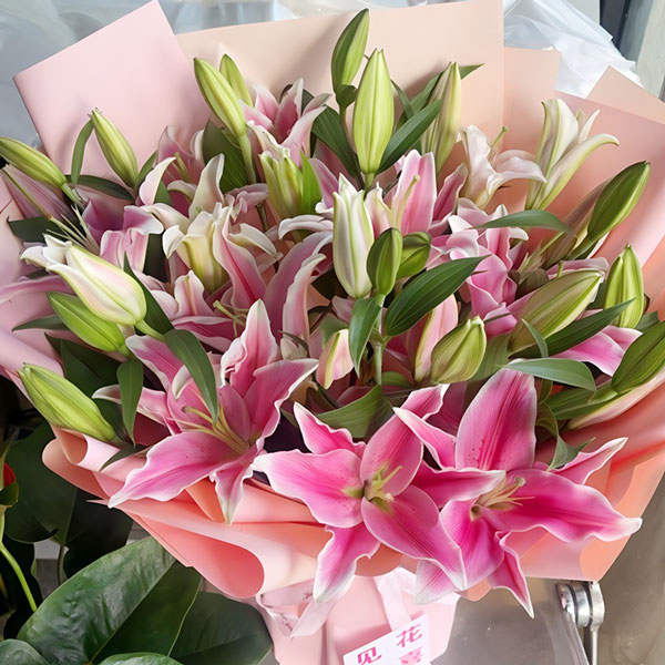 10支粉色百合,希望你能够幸福(实拍照)