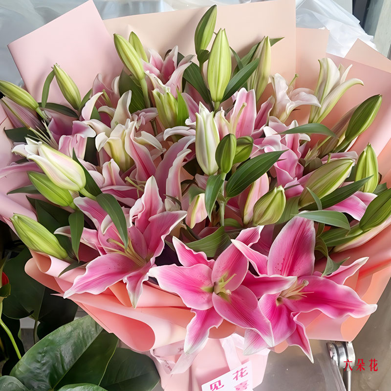 10支粉色百合,希望你能够幸福(实拍照)
