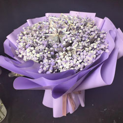 520Ԫ����Ż����������҂�����