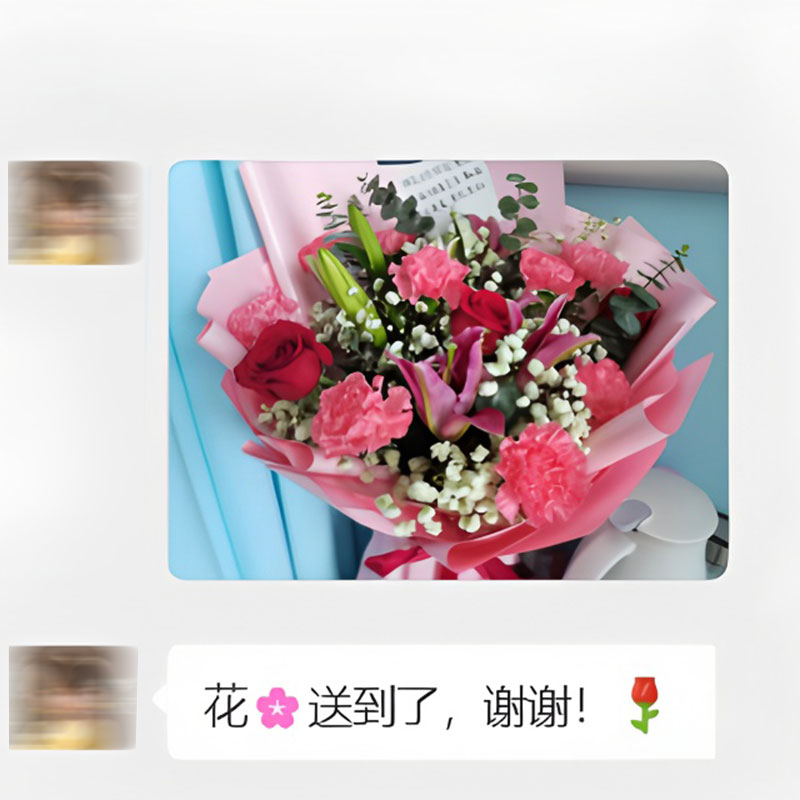 9朵粉色康乃馨2朵戴安娜粉玫瑰,闪耀自己光芒(实拍照)