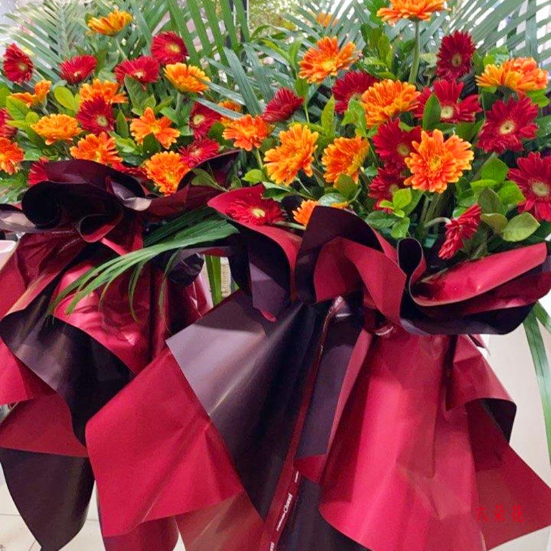 20朵各色扶郎花花篮,开业贺喜(实拍照)