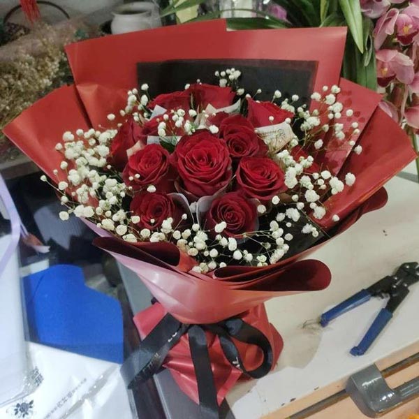 12朵红玫瑰,一生的美好和幸福(实拍照)