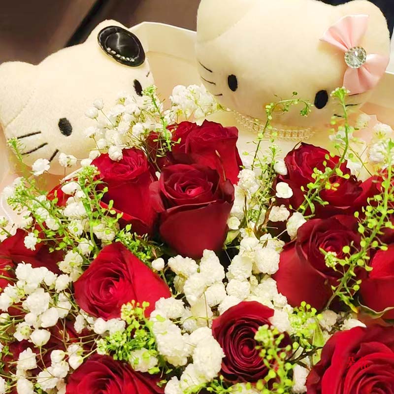 21朵红玫瑰满天星,温柔婉约的你(实拍照)